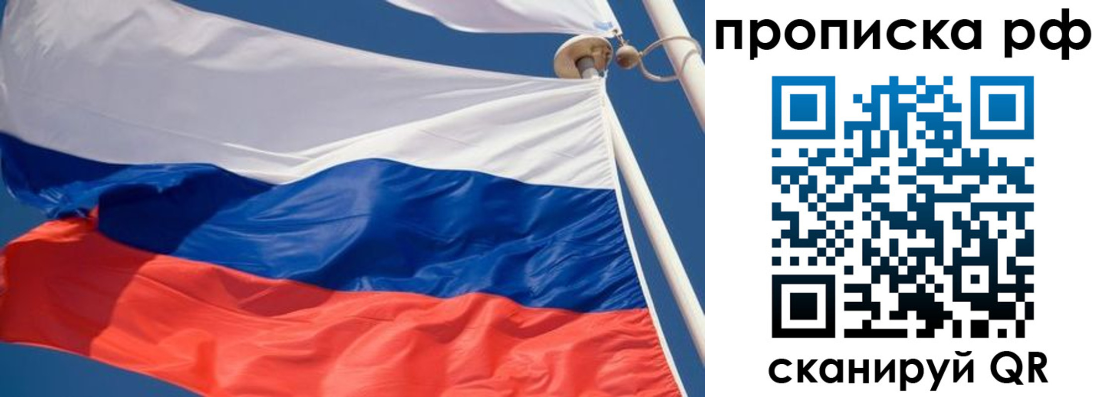прописка гарантия в Пензе